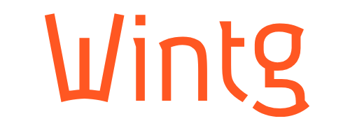 WINTG GROUPE